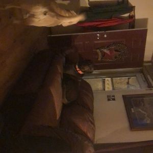 Meet your Posher, Traci